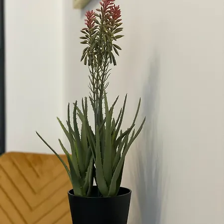 Appartement Nowoczesne Eurohelp Blisko Dworca